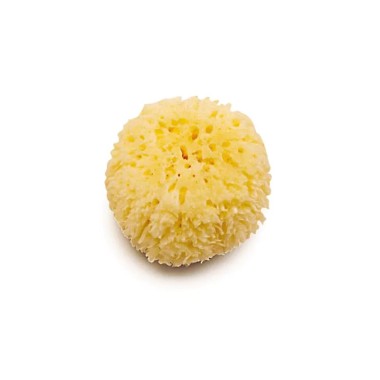 Natural baby sponge