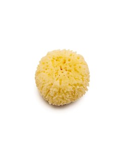 Natural baby sponge